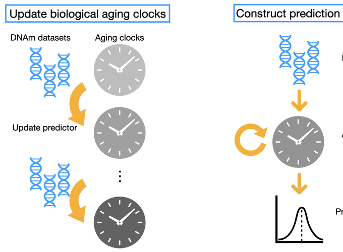 Clocks Lan's Personal page